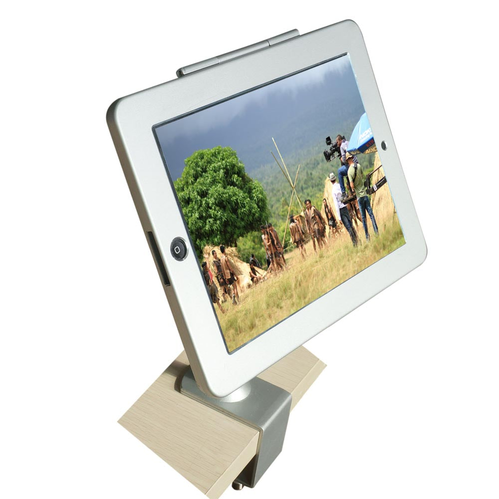 SYSTEM-S Stangen Halterung mit Schloss Befestigung aus Metall in Grau für iPad Pro 10,5" - DREIKS
