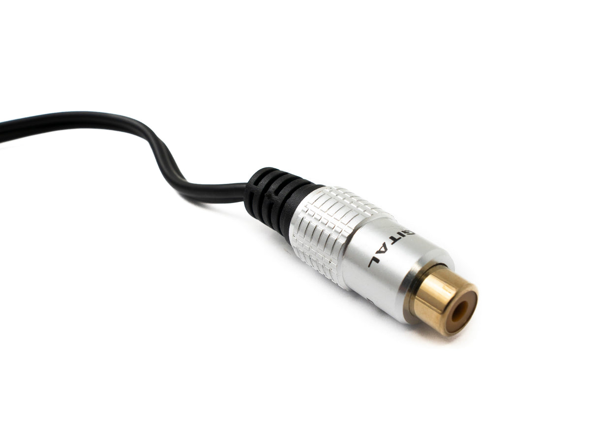 Y Cinch RCA Kabel 25 cm 1 polig Buchse zu 2x Buchse Audio in Schwarz | System-S