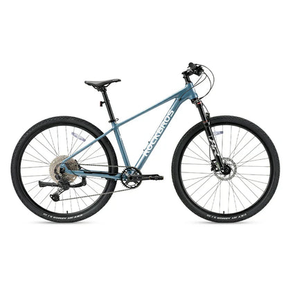 MT400 29 Zoll MTB