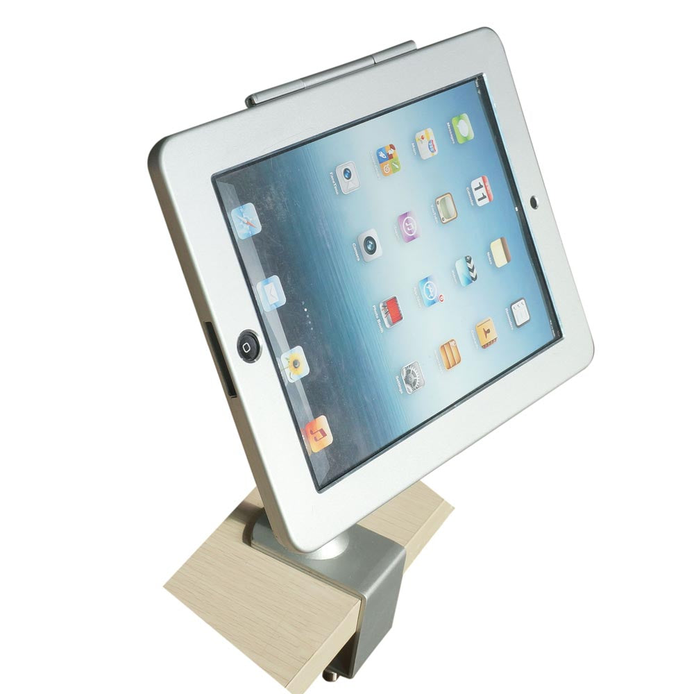 SYSTEM-S Stangen Halterung mit Schloss Befestigung aus Metall in Grau für iPad Pro 10,5" - DREIKS